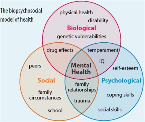 are kinks genetic|Current biopsychosocial science on understanding kink